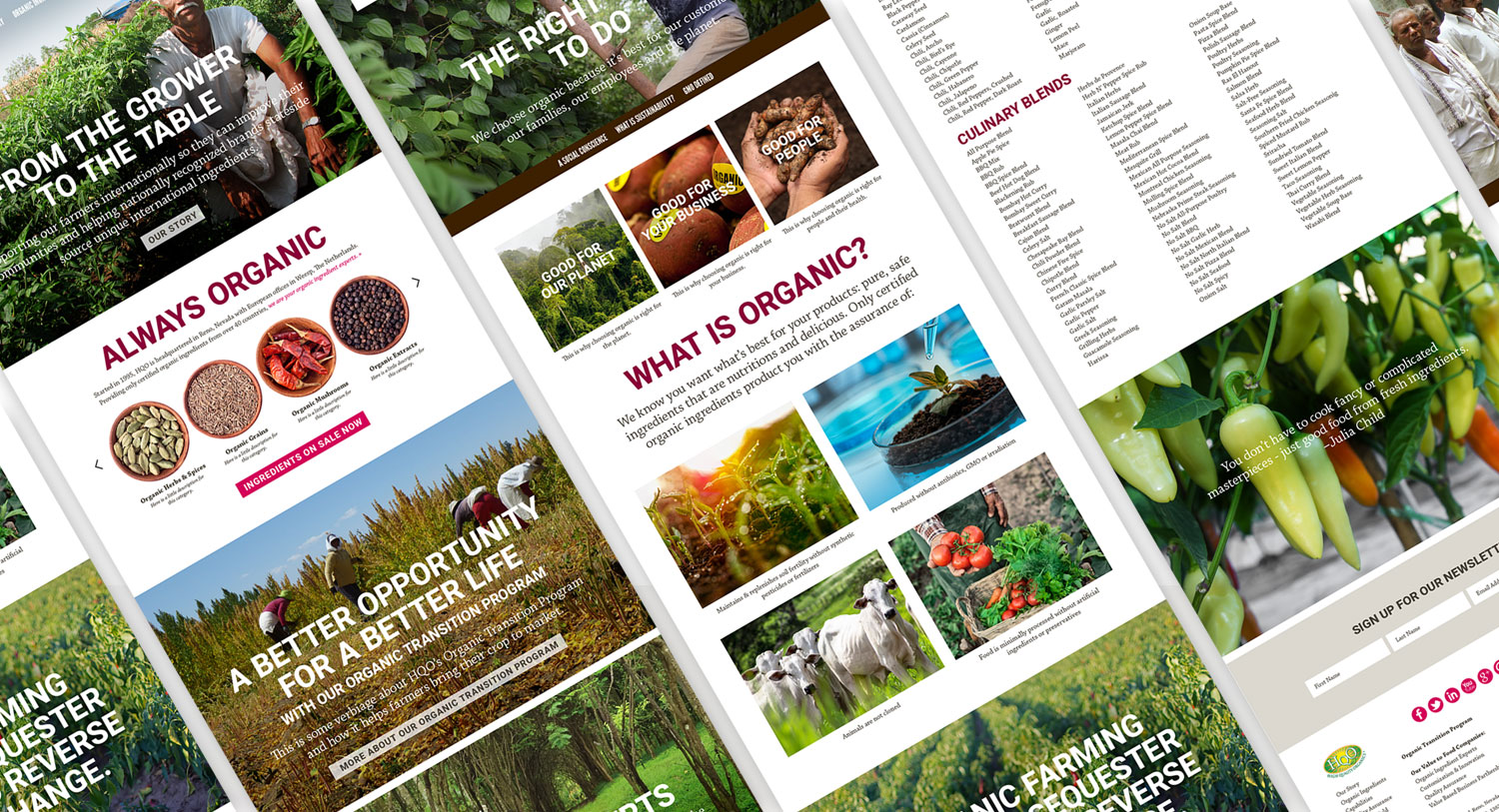 High Quality Organics Website Design